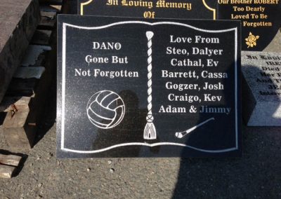 Plaque Hurl and Ball